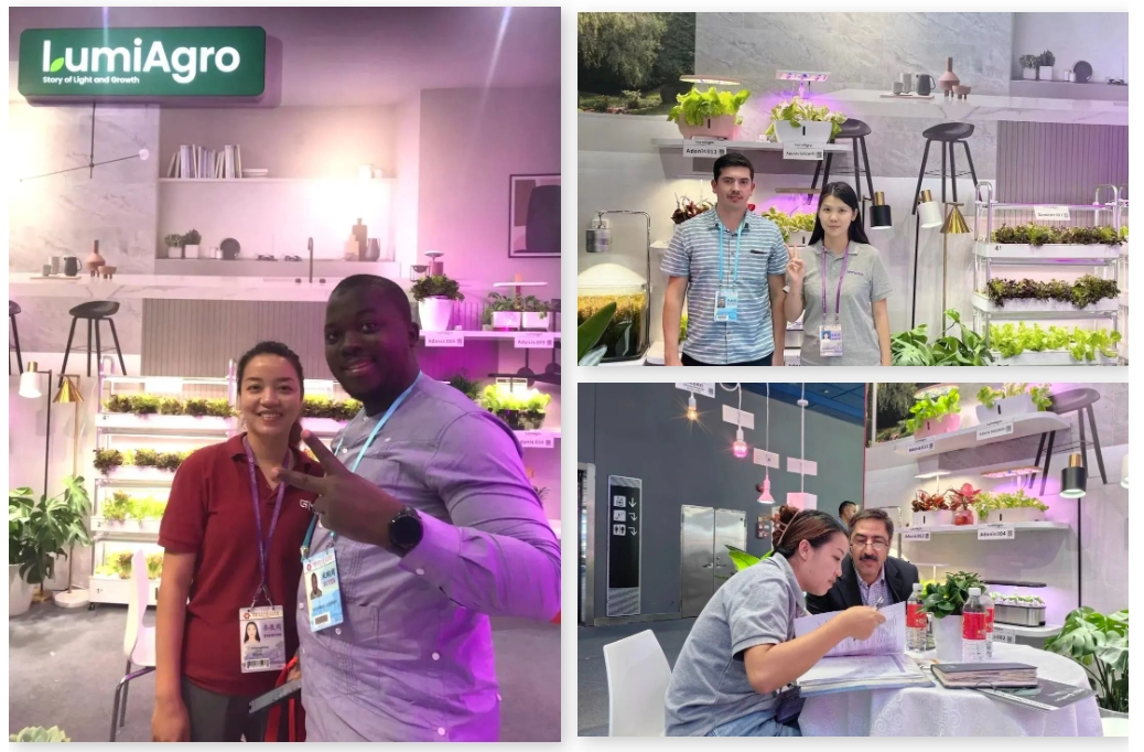 canton fair canton fair