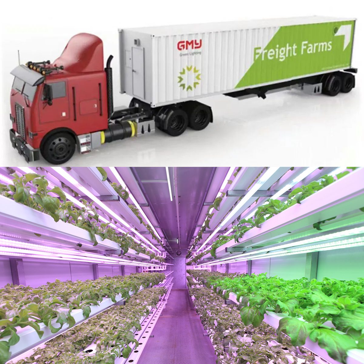 hydroponis shipping container system-02