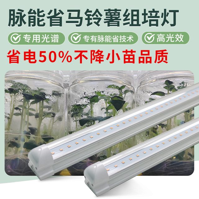 脉能省组培补光灯