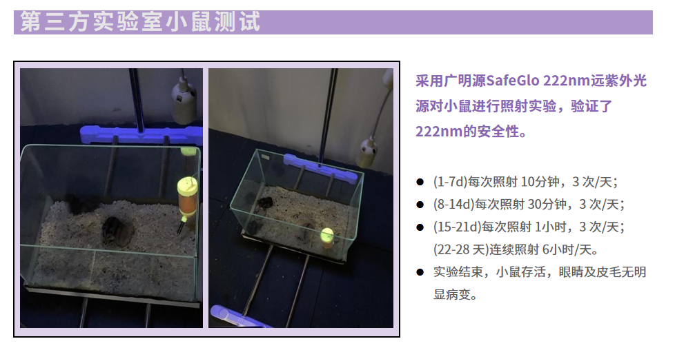 222nm小白鼠实验