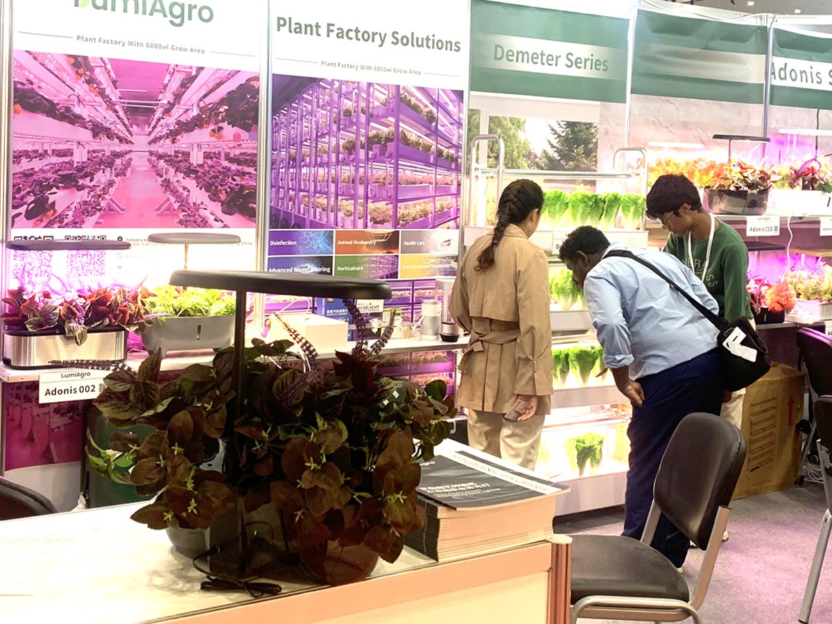 GMY in China Dubai trade fair-demeter