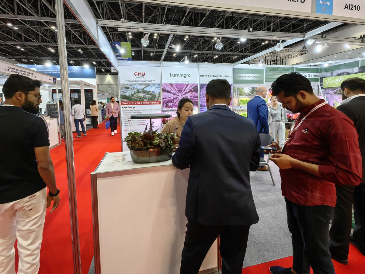 GMY in China Dubai trade fair