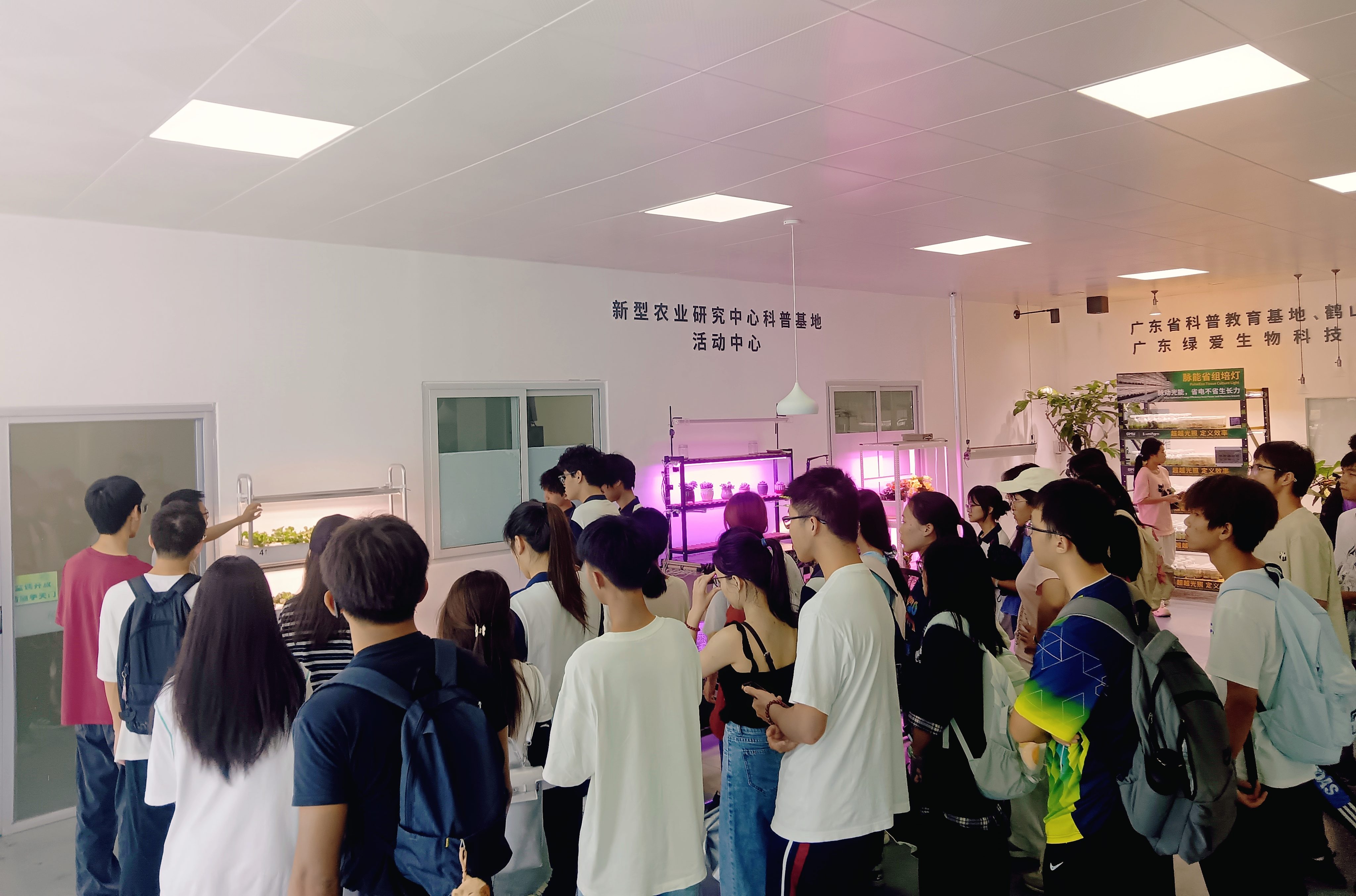 参观植物工厂