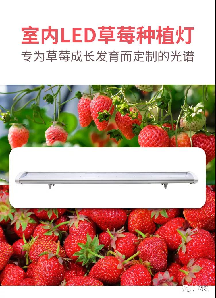 微信图片_20210803153337