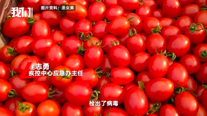 媒体报道.png