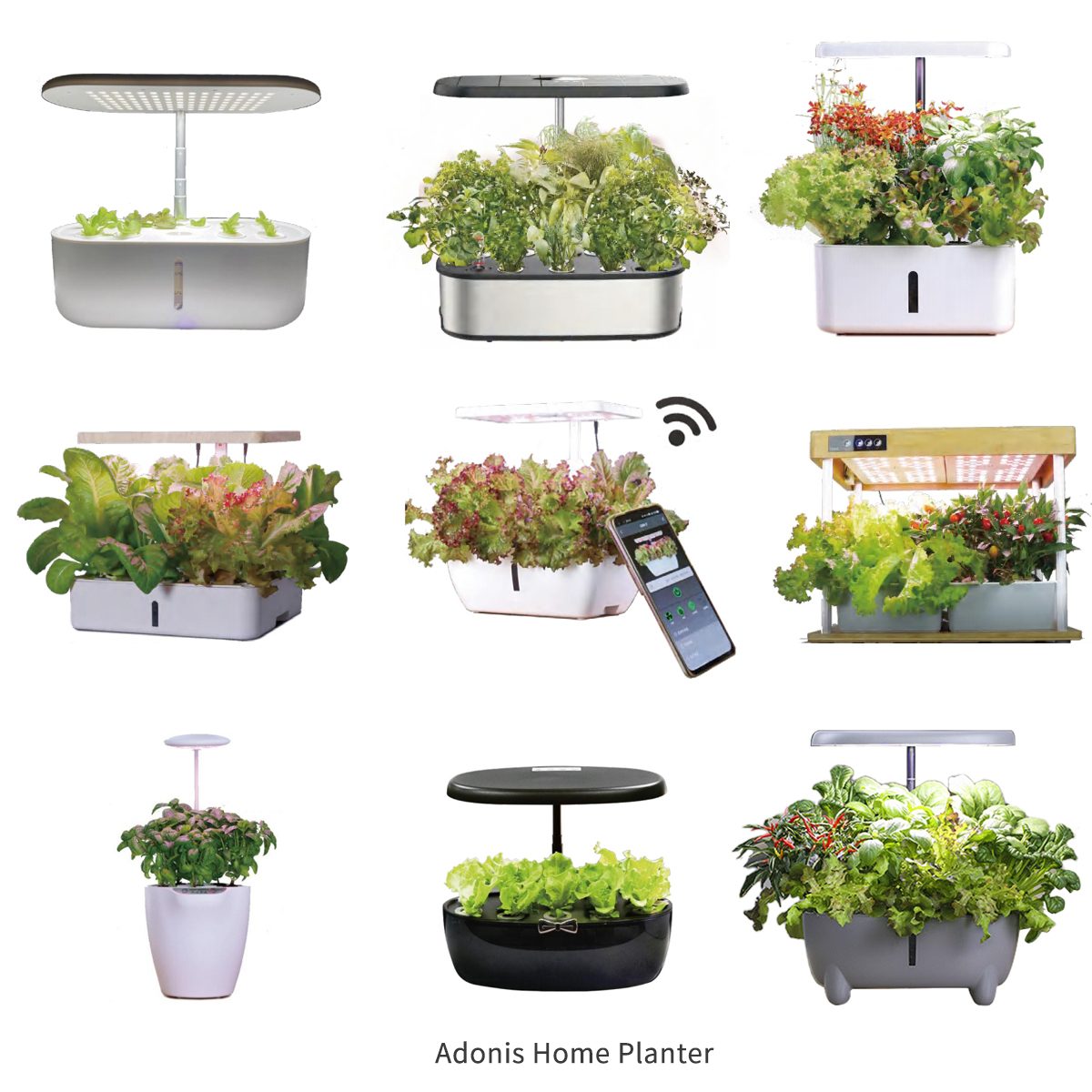 adonis home planter
